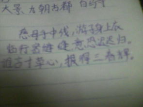 贊美鄂爾多斯的古詩句