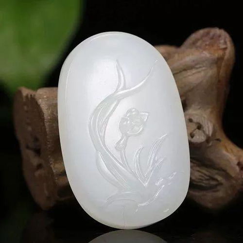 屈原,古詩詞,詩句,蘭花