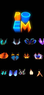 流浪古詩(shī)句