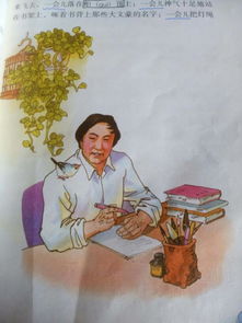 關(guān)于珍珠鳥的詩句古詩