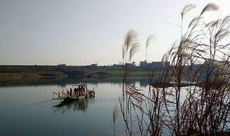 關(guān)于形容文辭精彩的詩(shī)句