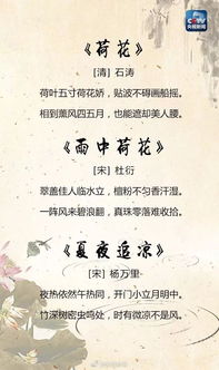 有關(guān)夏天的詩句古詩大全,描寫夏天的詩句古詩大全,描寫夏天荷花的詩句古詩大全