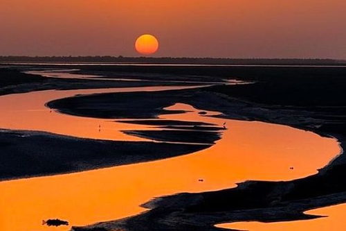 一句,邊塞,詩(shī)句,再寫