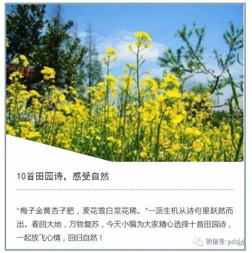 關(guān)于對(duì)大自然感覺(jué)的詩(shī)句