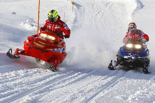 關(guān)于冰雪樂園詩句