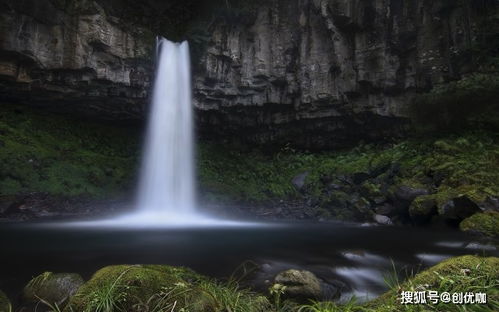 關(guān)于相敬如賓的愛情的詩句