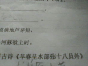 青松詩(shī)句古詩(shī)