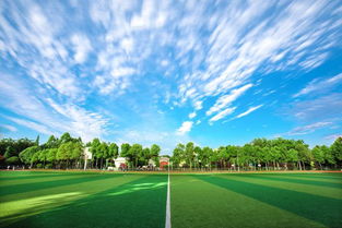 比喻心情愉悅的古詩句