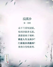 做好充分準(zhǔn)備的名言詩句,做好服務(wù)工作的詩句,做好萬全準(zhǔn)備的名言詩句