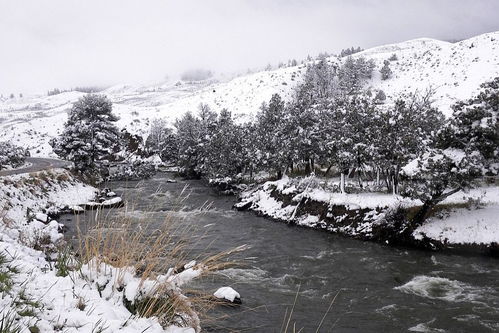 描寫春夏秋冬景色的古詩句子