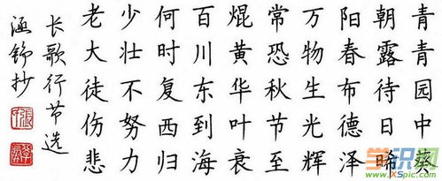 古詩(shī),詩(shī)句,書(shū)法,欣賞