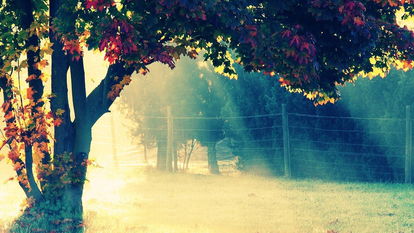 描寫冬天唯美景色詩句,贊美柳州景色唯美的詩句,形容景色的詩句唯美