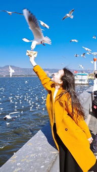 關于你還好嗎的詩句