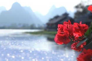 關(guān)于幽馨的詩(shī)句