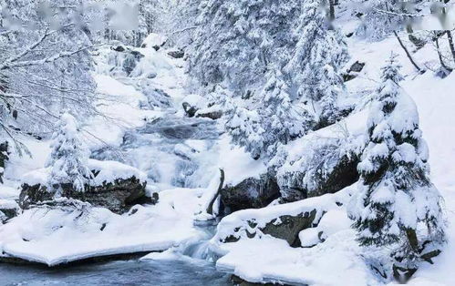 描寫冬天雪景的詩句古詩,描寫美麗雪景的詩句古詩,描寫雪景的詩句古詩三年級(jí)