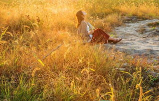 古詩,詩句,秋天