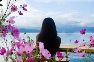 關(guān)于天氣很好花很美的詩句