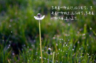 關(guān)于無足輕重的足的詩句