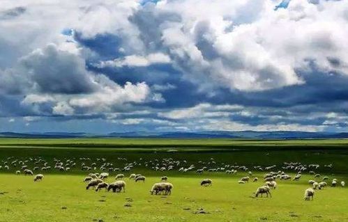 一句古詩(shī)中描寫景色的詩(shī)句是什么意思