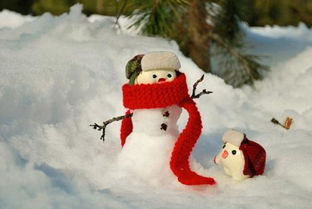 關(guān)于雪人的詩句有哪些