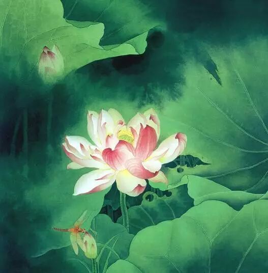 初夏,詩句,走進