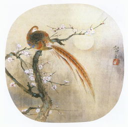 關(guān)于鳥(niǎo)獸蟲(chóng)魚(yú)的詩(shī)句