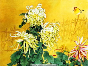 意象,詩(shī)句,菊花,品質(zhì)