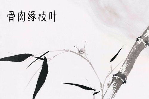 詩句中含有數(shù)字的古詩6