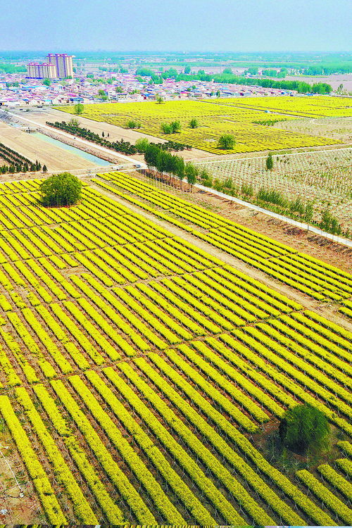 關(guān)于描寫生態(tài)環(huán)境的詩句