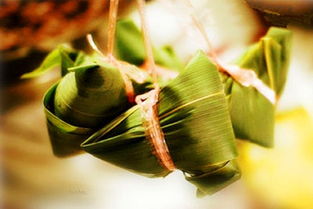 關(guān)于粽子的詩句大