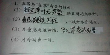 關(guān)于花草詩(shī)句2句