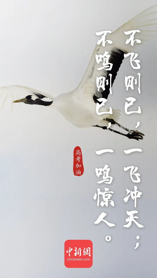 關(guān)于準備的古詩句,準備大干一場的古詩句,做好提前準備的古詩句