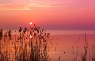 關(guān)于夕陽(yáng)與自信的詩(shī)句