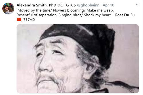 古詩(shī)帶有孤雁的詩(shī)句