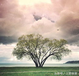 關(guān)于抬頭看天空的詩句