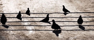 關(guān)于在戰(zhàn)場上打仗的詩句