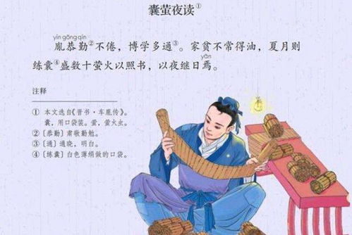 囊螢夜讀古詩詩句翻譯,囊螢夜讀的詩句,囊螢夜讀古詩原文