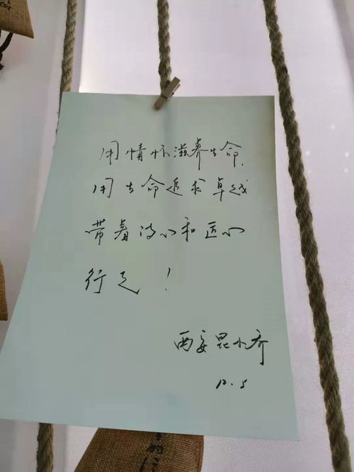 含有匠心的古詩(shī)句