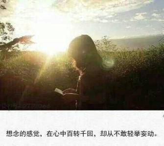 想念一個人的古詩句經(jīng)典,想念一個人的古詩句子,想念一個人的古詩句圖