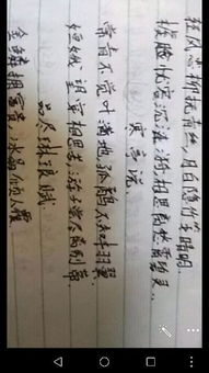 關(guān)于友情詩(shī)句及解釋