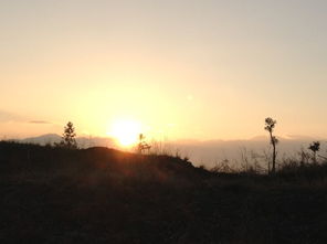 關(guān)于家鄉(xiāng)日出的詩句