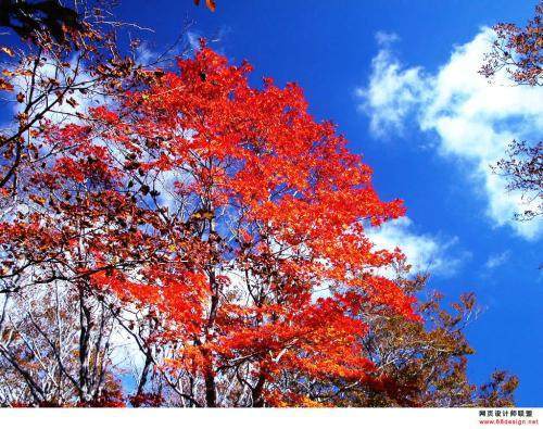 描寫秋天景色的詩句古詩大全,描寫秋天荷花的詩句古詩大全,二年級(jí)描寫秋天的詩句古詩大全