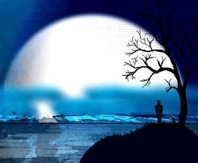 關(guān)于秋天中秋的詩(shī)句古詩(shī)