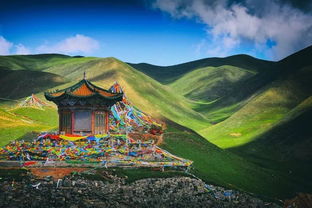 青海,詩句,有哪些