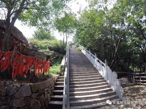 關于李白對王屋山的詩句