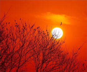 詩(shī)句,世事,滄桑,變化