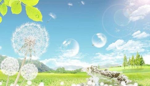 關(guān)于珍惜青春的詩(shī)句