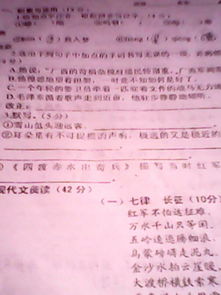 詩(shī)句,品德,體現(xiàn)