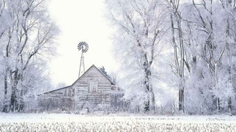 雪化成冰的詩(shī)句,雪如意冰玉環(huán)詩(shī)句,冰與雪組成的詩(shī)句