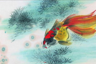 關(guān)于金魚唯美的詩(shī)句